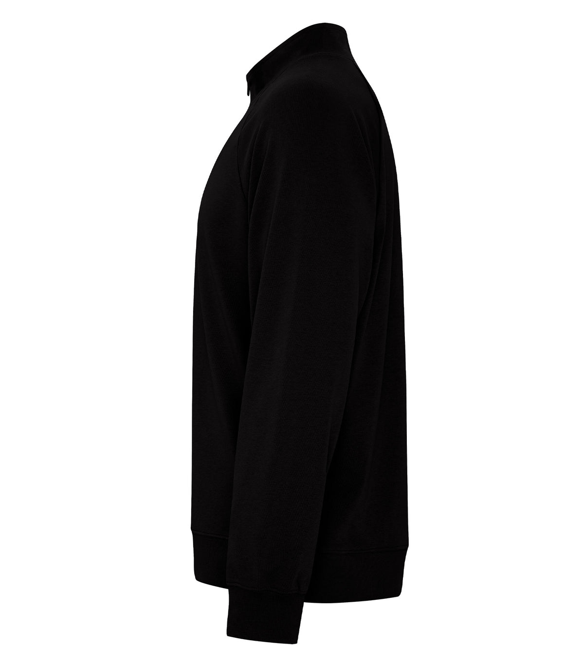 Onyx-model Image
