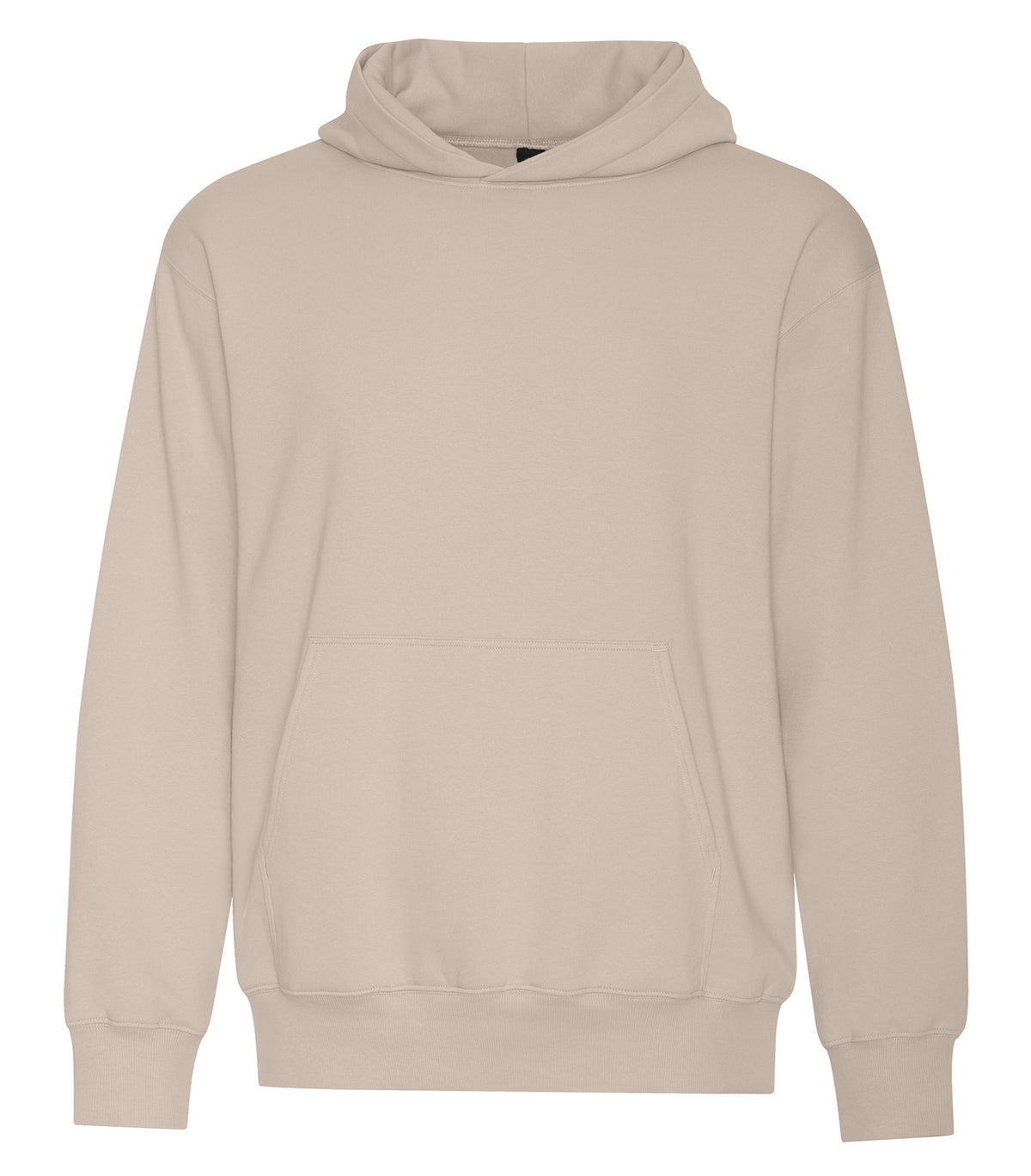 Sahara-model Image