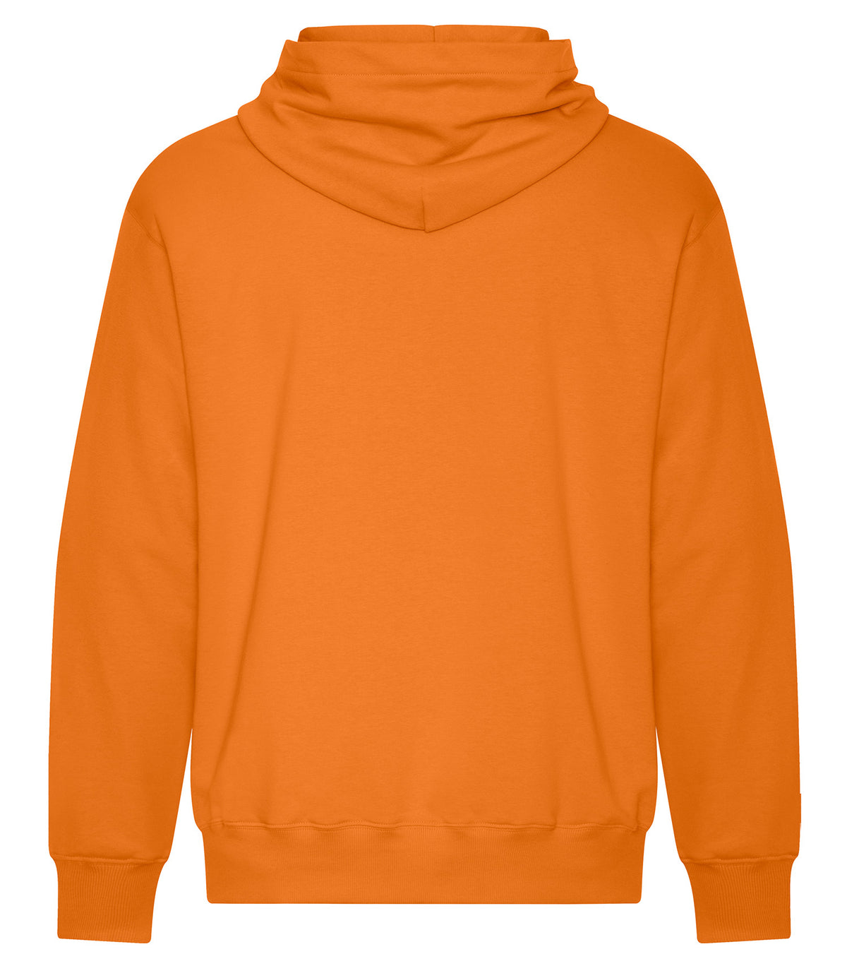 Orange Burst-model Image