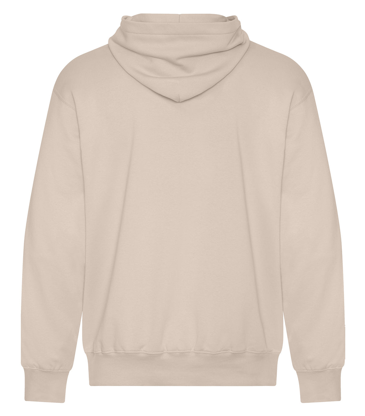 Sahara-model Image
