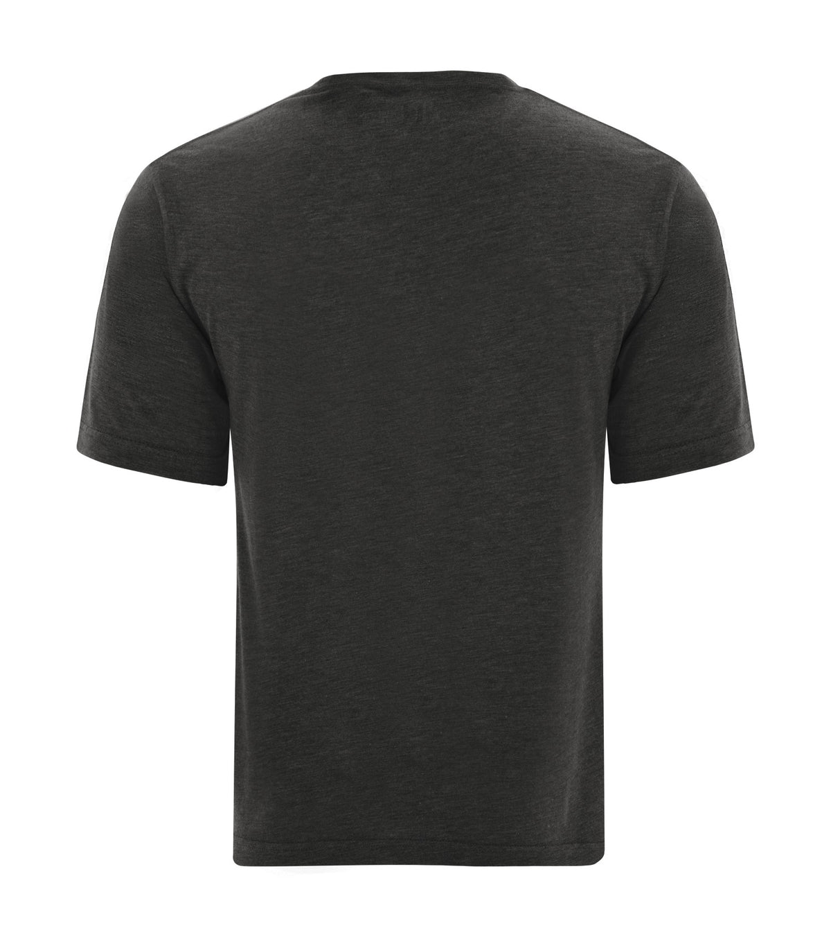 Charcoal-model Image