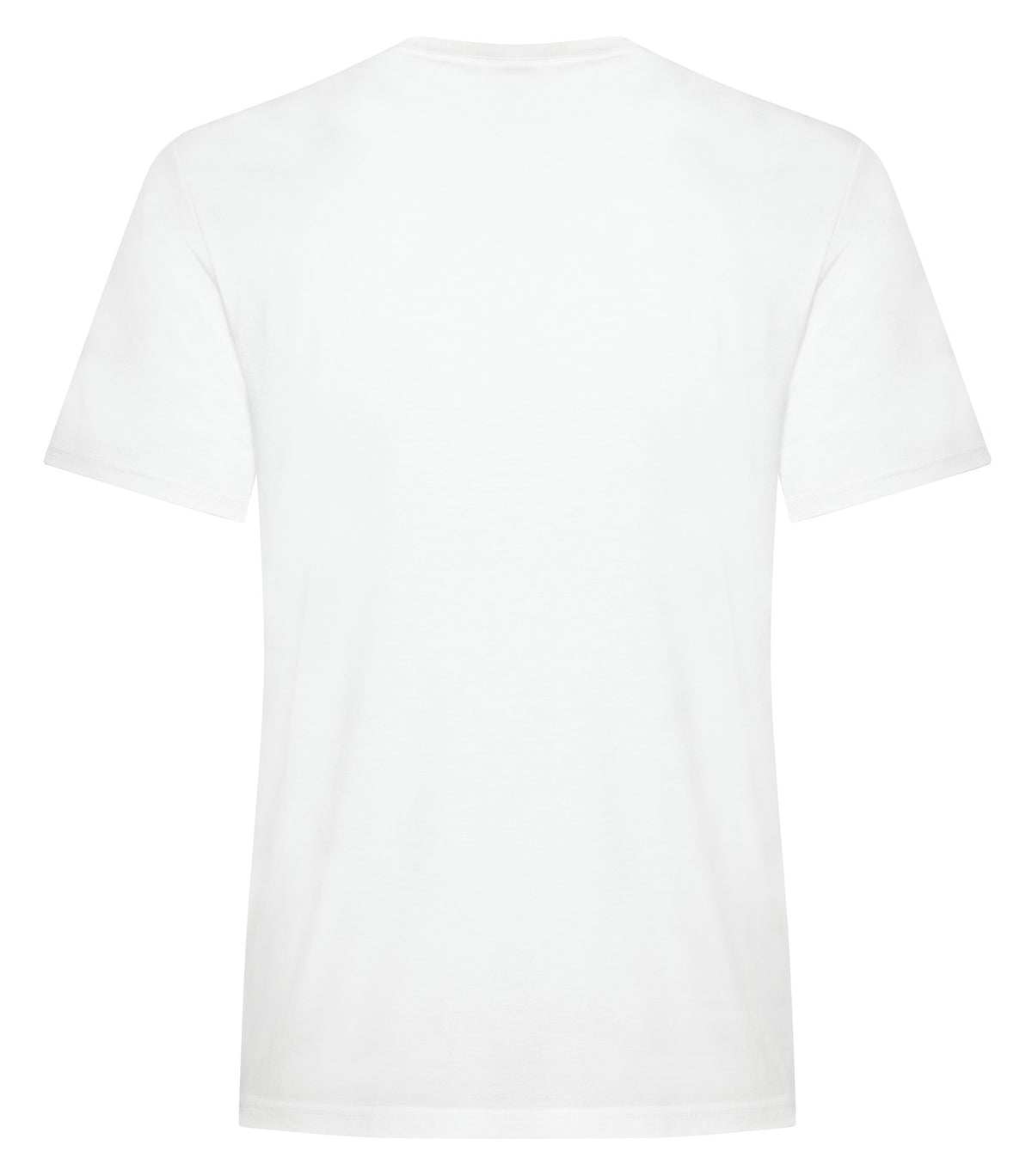 White-model Image