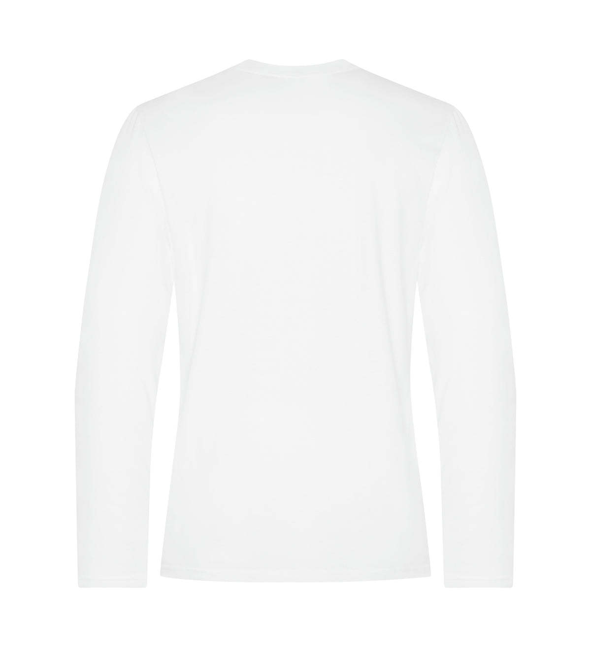 White-model Image