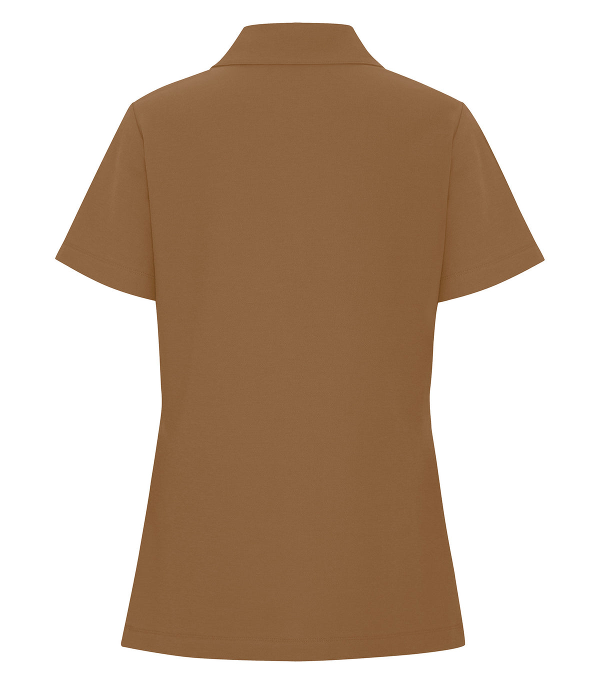 Duck Brown-model Image