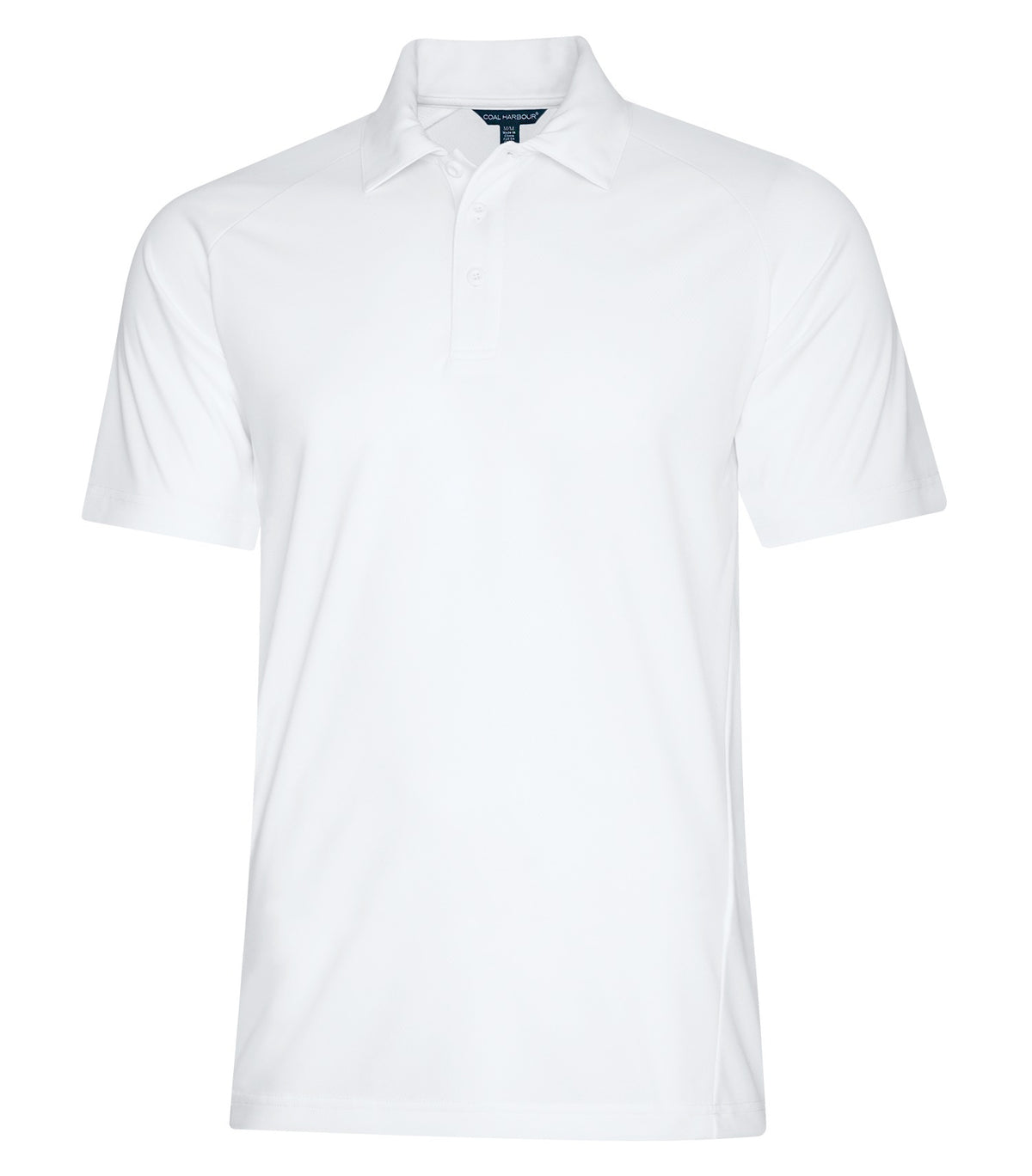 White-model Image