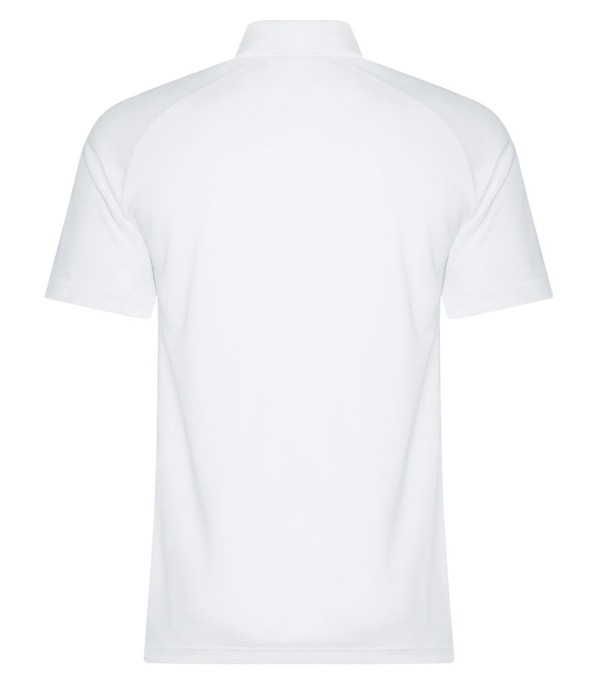White-model Image