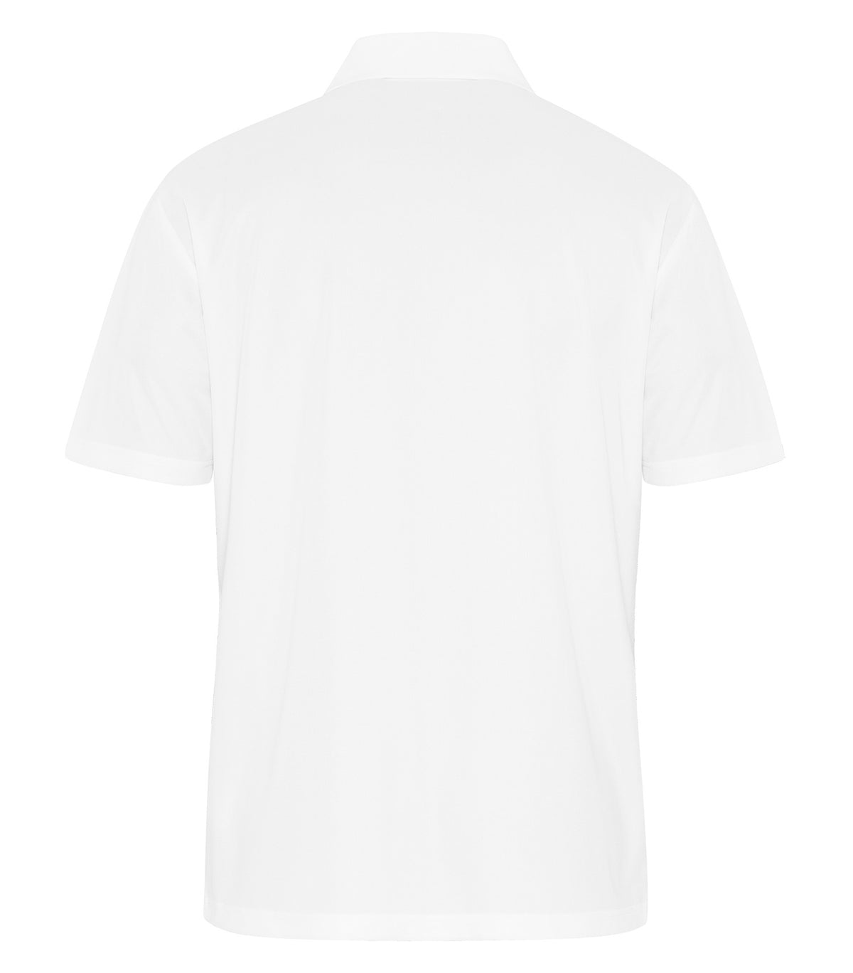 White-model Image