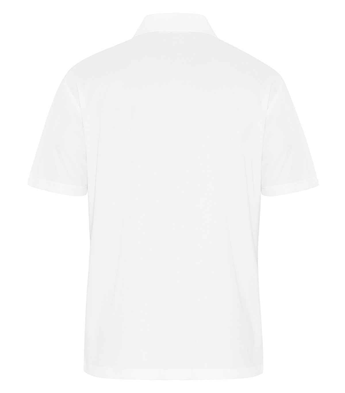 White-model Image