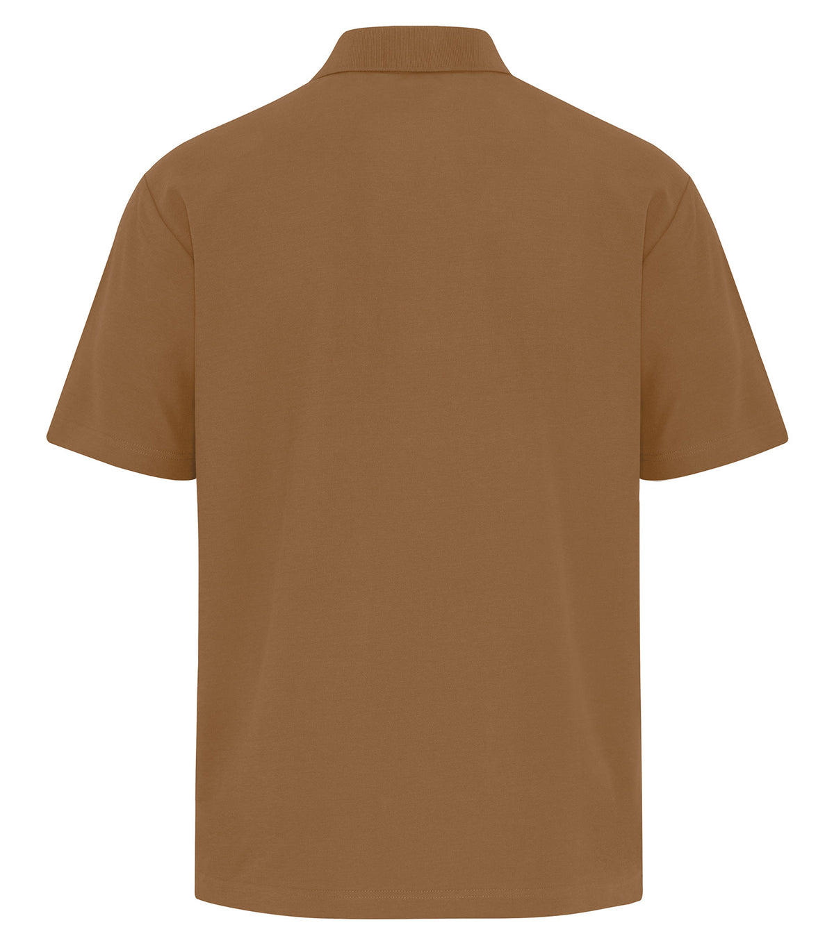 Duck Brown-model Image