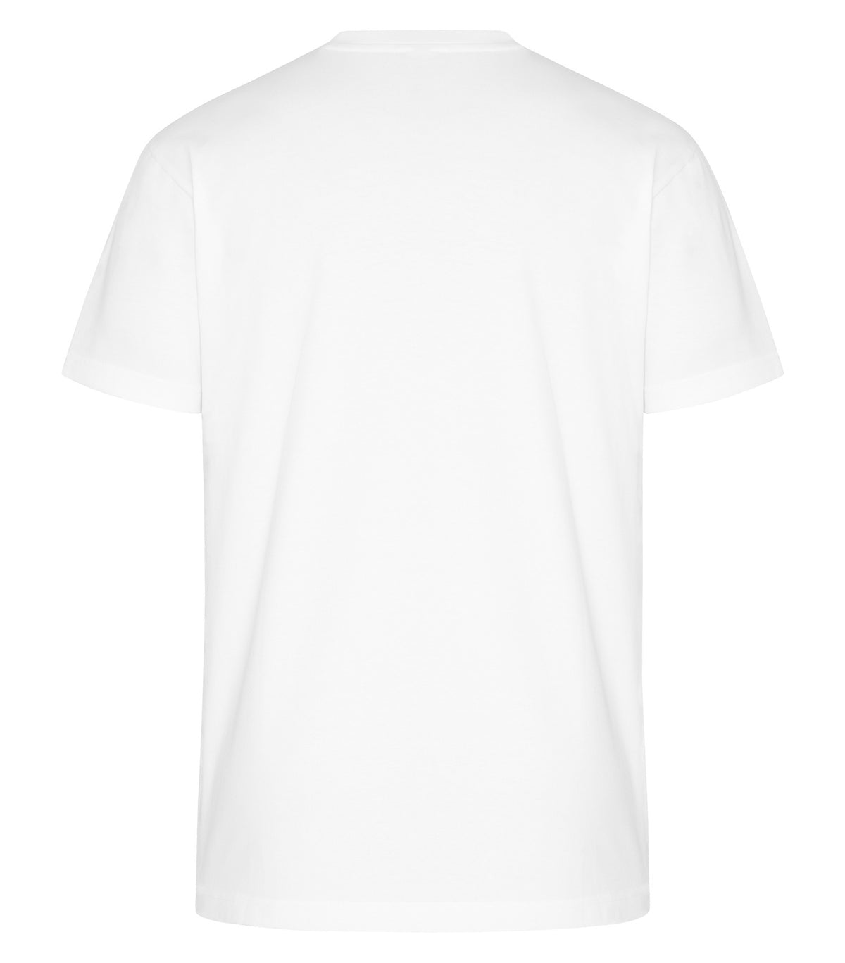 White-model Image